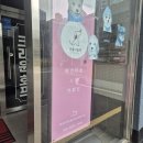 아름다울개 이미지