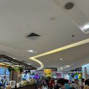 YoYo Land 네이버블로그
