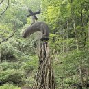 강씨봉자연휴양림 이미지