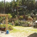 바다정원펜션 이미지