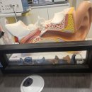 포낙보청기은평센터 | 원당역보청기-보청기센터 뉴히어링 보청기 은평센터 이용후기