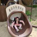 세성유치원 이미지