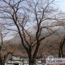 장군치안센터 이미지