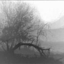 Ethereal Morning Rise - Delirium in Fog 이미지