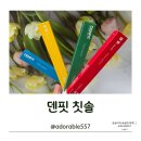 덴탈톡 | 덴핏 칫솔 덴탈케어 치아관리 후기