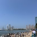 감:돈