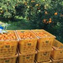 알앤비타운 이미지