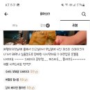 준파스타