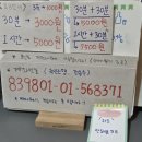 코인스동전노래연습장 이미지