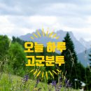 하루하루좋은집 이미지