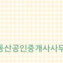 부산 공인중개사 사무소 이미지