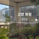 햇살온담 | ㅣ고양 화정 카페: 청온담ㅣ한국식 타르트가 있는 곳ㅣ내돈내산 솔직후기ㅣ