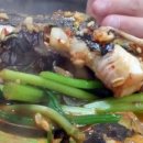 적성민물 이미지