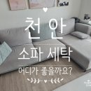 인정세탁 | [천안 소파 세탁 후기] 소파 세탁 고민만하다가 요청해요!