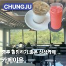 마추피추애견블랙 | 충주 아이와 가기좋은 신상카페 카페이유 애견동반카페 국립충주기상과학관카페 내돈내산 메뉴 가격...