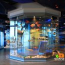 유영목장 이미지