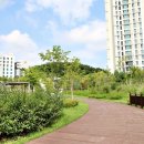 한숲하늘근린공원 이미지