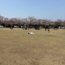 [ 250407 - 250413 ] 치토스가 고주한 첫사랑이라고?