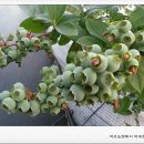 충실농장 이미지