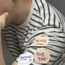 제주영락교회 | 주말의 우리(영락교회 결혼식)