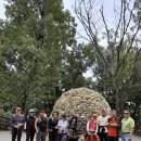 우면산6-10 이미지