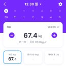 스파이크 짐 | 필라이즈 포미다이어트 1주차 후기 (혈당스파이크 범인찾기, 혈당관리식단)