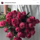 W4. 스튜디오 웨딩 촬영 | 인천 세미앙 촬영 후기