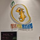 망고키즈트라이랩 양산점 양산 실내체험 파충류 카페 내돈내산 방문후기