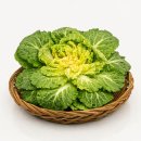 진도 무릉도원 이미지