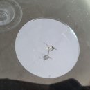 지오자동차공업사 이미지