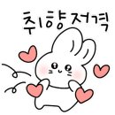 미로플라워