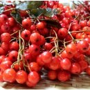 김제상회 이미지