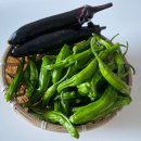 효창농장 이미지