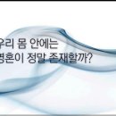 22그램 이미지