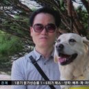 한씨네(韓家)