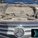 딥모터스 이미지