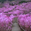 유가사길 이미지