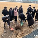 추풍령중학교 이미지