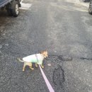 개순이상점 이미지