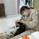 카밍캣 이미지