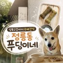 힐링 펫 카페 | 수제간식 성북구강아지간식 찾는다면 정릉동 푸딩이네 수울판다 프리미엄 성북애견동반카페 펫라운지 후기