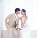 푸릇푸릇스튜디오