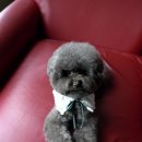 트리밍807 이미지