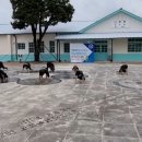 용인대 태권클럽 태권도장 이미지