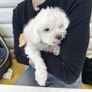 채움 케이크샵 이미지