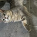 더스톤 빌리지 풀빌라 | 인천 강화도 석모도 독채 풀빌라 펜션 [ 더스톤빌리지 ] 내돈내산 후기