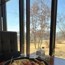 춘천인닭갈비 | 춘천여행 맛집 우성닭갈비 본점, 볶음밥(풍자 또간집, 내돈내산 솔직 후기)