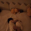 롯데백화점 문화센터 노원점 '클래식 음악놀이 쪼꼬미 뮤직' 솔직 후기