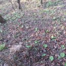 힘차게농장 이미지