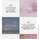 더블유드레스 이미지